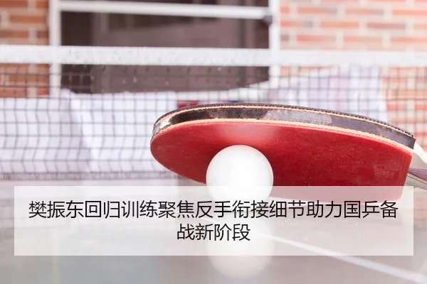 樊振东回归训练聚焦反手衔接细节助力国乒备战新阶段