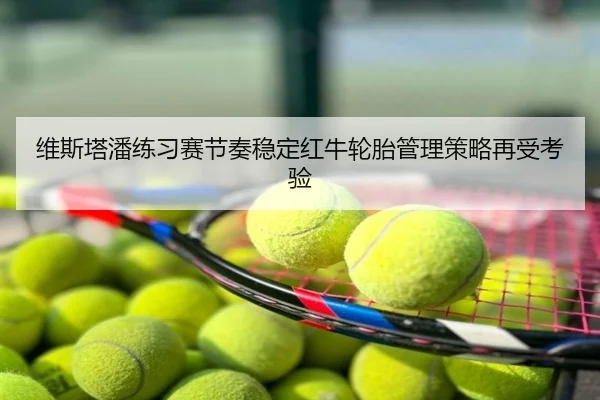 维斯塔潘练习赛节奏稳定红牛轮胎管理策略再受考验